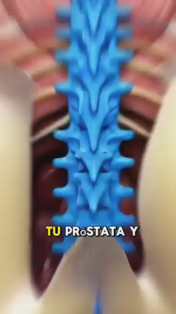 PROSTATE HEALTH + NITRO OXIDE AUREMA LABS